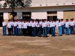 Turma Brasinha - 2015 